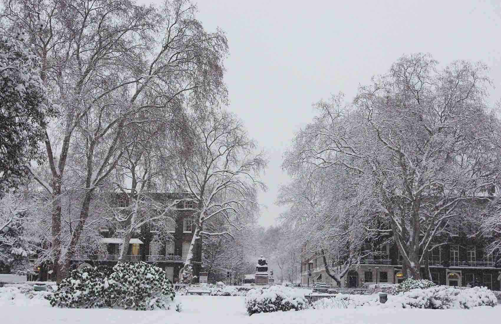 Weather in London in January What To Pack, Tips & Things To Do